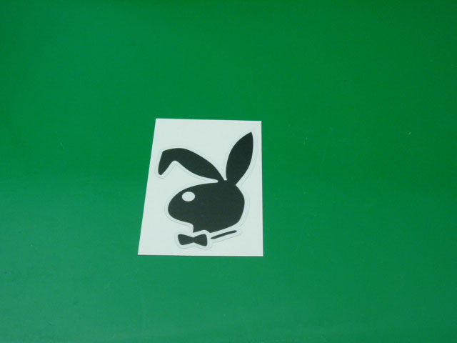 Playboy cm 6 x 10