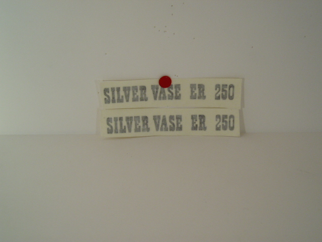 SWM silver vase ER 250 desivi