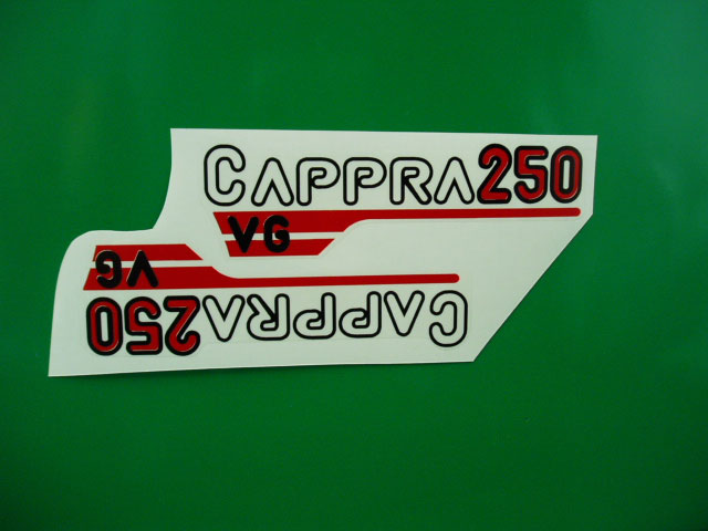 Montesa Cappra 250 adesivi