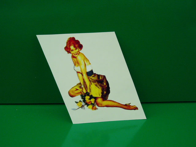 Pin Up 02