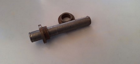 pernocavalletto_D_seeger