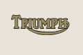 Triumph adesivo oro/nero 13.8 cm @